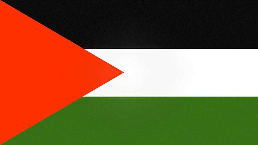 71GJAGv3TyL._AC_UF894,1000_QL80_