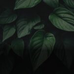 Organizing Your Home: Tips for Creating Sancity